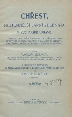 Chřest, nejjemnější jarní zelenina v kuchyňské úpravě