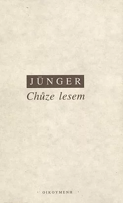 Chůze lesem