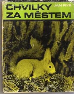 Chvilky za městem