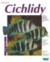 Cichlidy: pořízení, péče, krmení, nemoci, projevy chování, odchov