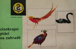 Cizokrajní ptáci na zahradě