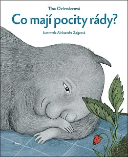 Co mají pocity rády?
