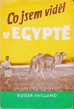 Co jsem viděl v Egyptě