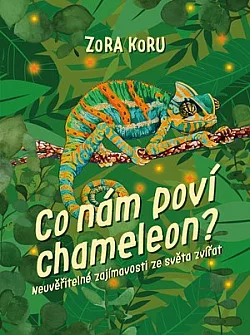Co nám poví chameleon?