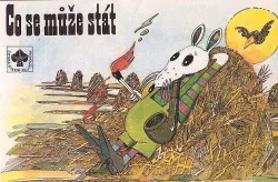 Co se může stát