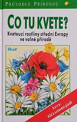Co tu kvete?