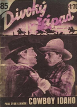 Cowboy Idaho