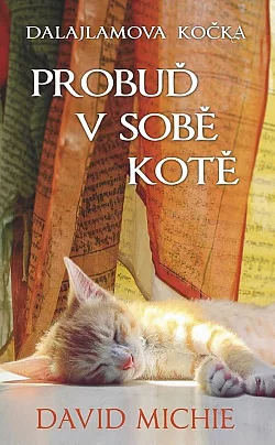Dalajlamova kočka: Probuď v sobě kotě