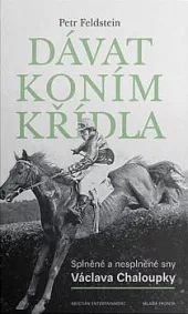 Dávat koním křídla