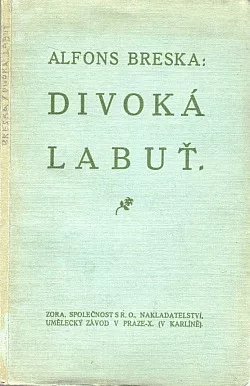 Divoká labuť