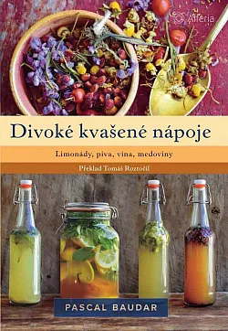 Divoké kvašené nápoje