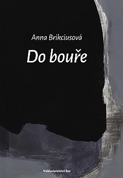 Do bouře