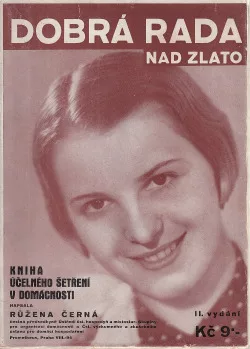 Dobrá rada nad zlato - Kniha účelného šetření v domácnosti