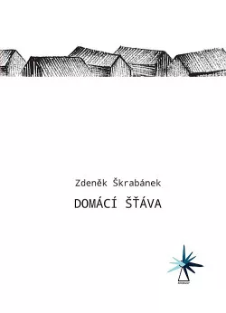 Domácí šťáva
