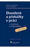 Dovolená a překážky v práci v otázkách a odpovědích v roce 2013