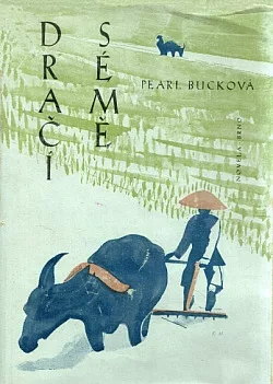 Dračí sémě