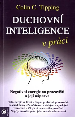 Duchovní inteligence v práci