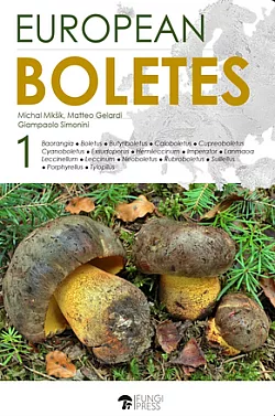 European Boletes I.