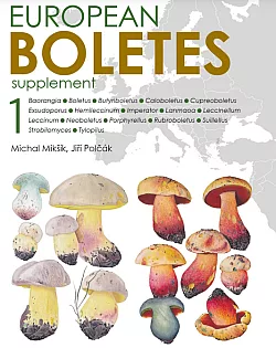 European Boletes I. (doplněk)