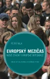 Evropský mezičas – Nové otázky evropské integrace