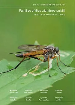 Families of flies with three pulvilli: Field guide northwest Europe