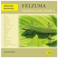 Felzuma madagaskarská