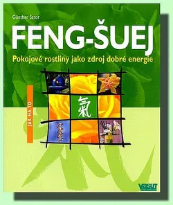 Feng-Šuej - pokojové rostliny jako zdroj dobré energie