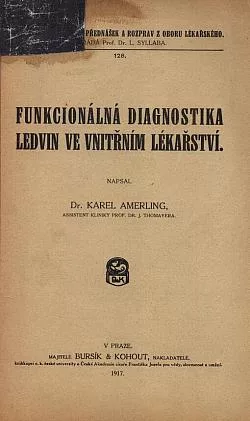 Funkcionálná diagnostika ledvin ve vnitřním lékařství