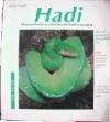 Hadi