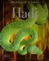 Hadi