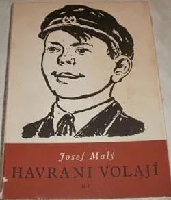 Havrani volají
