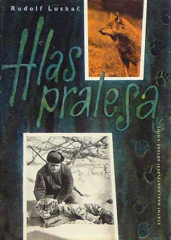 Hlas pralesa
