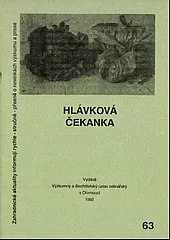 Hlávková čekanka
