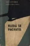 Hledá se pachatel