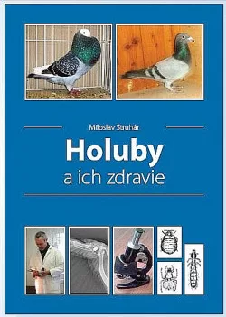 Holuby a ich zdravie