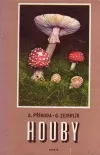 Houby