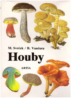 Houby