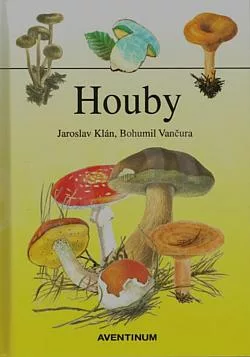 Houby