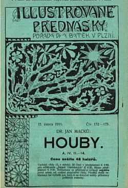 Houby