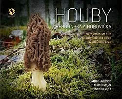 Houby Berounska a Hořovicka: Za tajemstvím hub od Křivoklátska a Brd až po Český kras