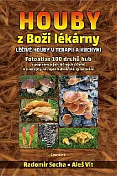 Houby z Boží lékárny: Léčivé houby v terapii a kuchyni