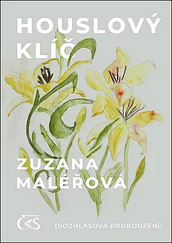 Houslový klíč