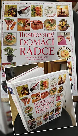 Ilustrovaný domácí rádce