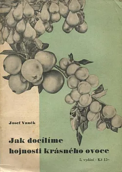 Jak docílíme hojnosti krásného ovoce