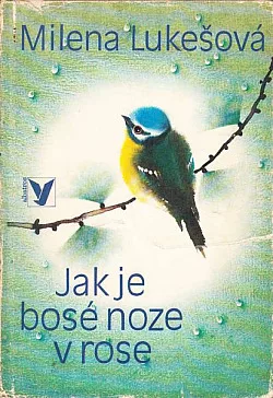 Jak je bosé noze v rose