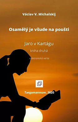 Osamělý je všude na poušti