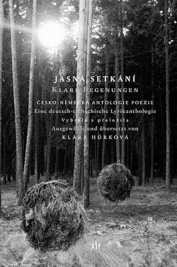 Jasná setkání / Klare Begegnungen: Česko-německá antologie poezie