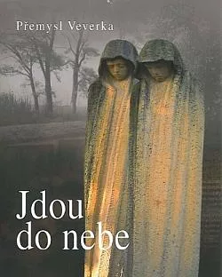 Jdou do nebe