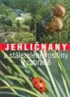 Jehličnany a stálezelené rostliny v zahradě
