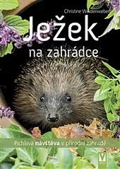 Ježek na zahrádce